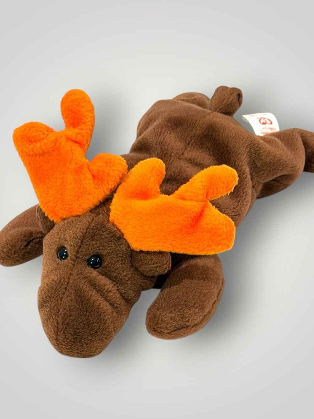 🎁4/$25🎁 Chocolate Beanie Baby Moose